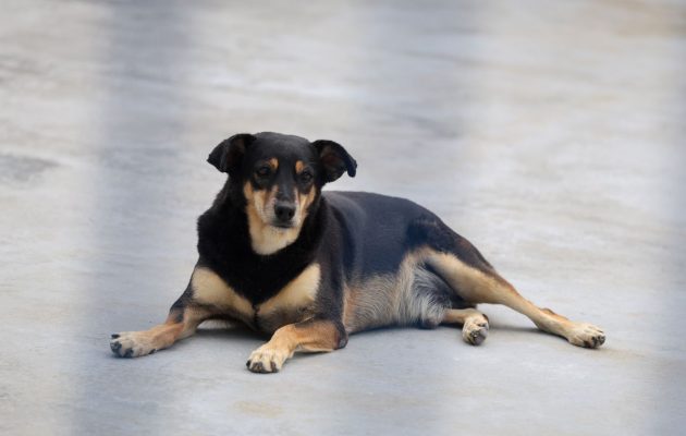 Foto: Thiago Kaue / SECOM