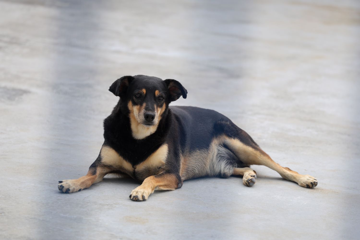 Foto: Thiago Kaue / SECOM